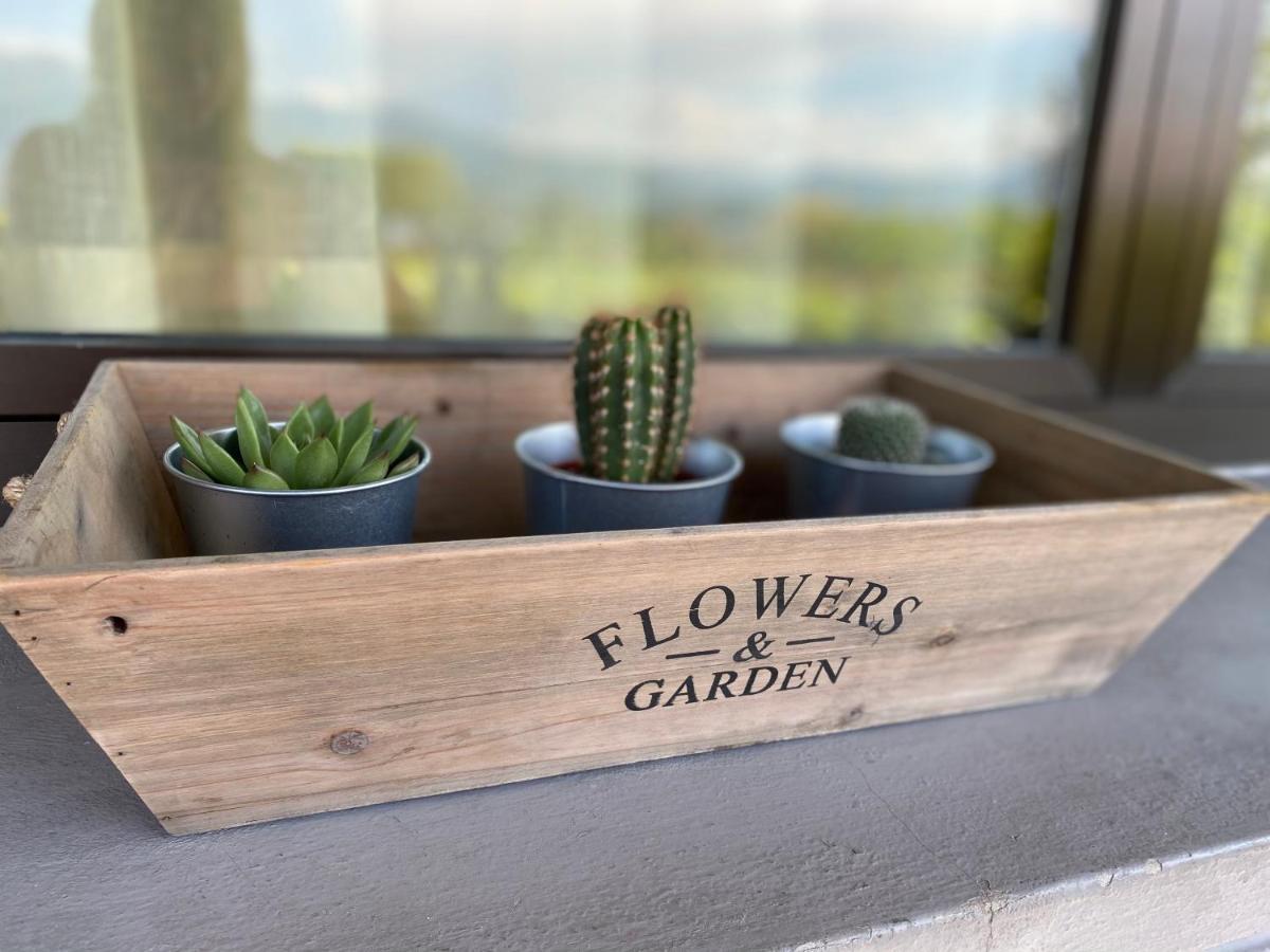 Flowers & Garden Apartment Con Vista Lago Manerba del Garda Extérieur photo